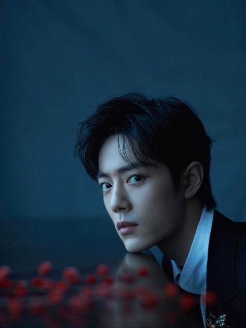 刘大锤最新爆料张彬彬视频,揭秘幕后精彩瞬间 第2张 刘大锤最新爆料张彬彬视频,揭秘幕后精彩瞬间 第2张