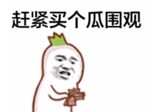 娱乐八卦吃瓜图片表情包可爱,娱乐八卦表情包大集合  第3张