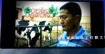 爆料大案三集视频播放,视频播放背后的惊心动魄  第3张